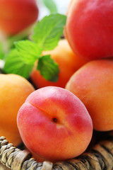 Apricots