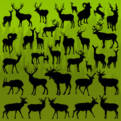 Deer, moose and mountain sheep horned animals vector