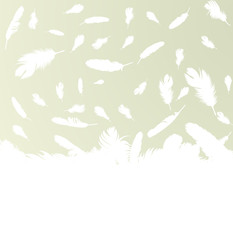 Feather vector background