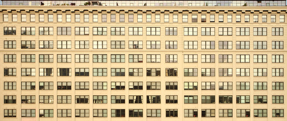 windows of building