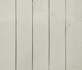 Fototapeta premium light green wooden wall