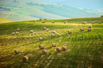 Tuscany landscape in spring