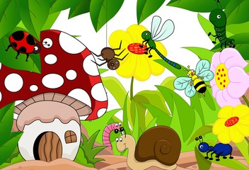 Famille d& 39 insectes