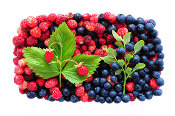 Wild strawberries and blueberries