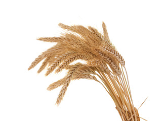 wheat ears isolated