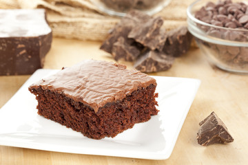 Fresh Homemade Brownie