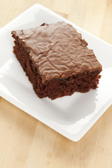 Fresh Homemade Brownie