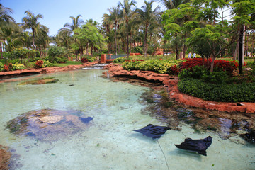 Atlantis in Bahamas