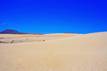 Fototapeta na wymiar Natural Park of Dunes of Corralejo in Fuerteventura, Spain
