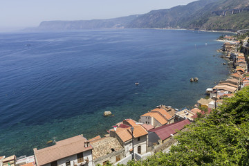 Scilla