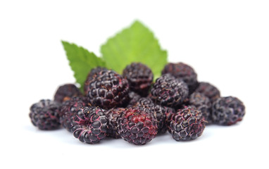 blackberry