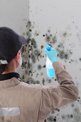 Schimmel Entfernung vom Fachmann_nah_2
