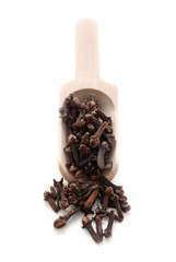 Spice Series - Cloves