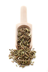 Spice Series - Fennel