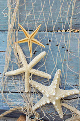 Three starfishs on an old rustic blue board