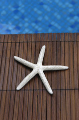 Fototapeta na wymiar Starfish on bamboo mat in the swimming pool
