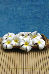 Fototapeta na wymiar frangipani in wooden bowl on mat in the swimming pool