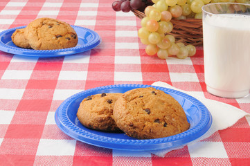 Cookies on a picnic table