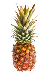 Pineapple fruit