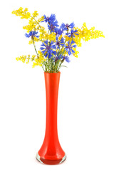 A bouquet of flowers and cornflowers bedstraw