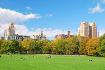 New York City Manhattan Central Park skyline