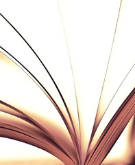 Pages of a book