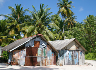 Palmenstrand mit Hütten