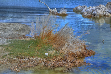 Mono Lake