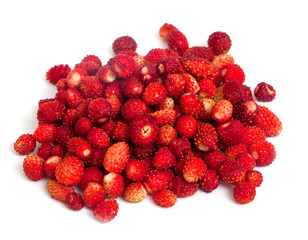 wild strawberries