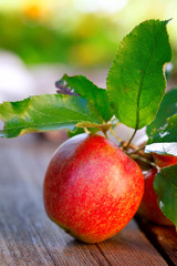 apple on wooden board