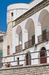 Fototapeta na wymiar Amati palace. Cisternino. Puglia. Italy.