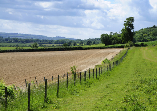 Kent Fields