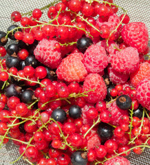 fresh raspberry and currant