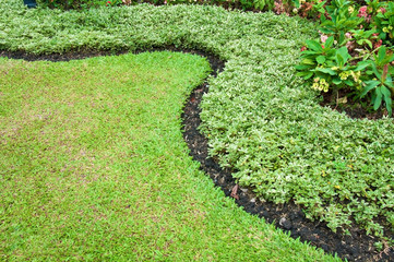 curve of grasses in green garden