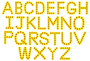 Set of Yellow sunflowers alphabet