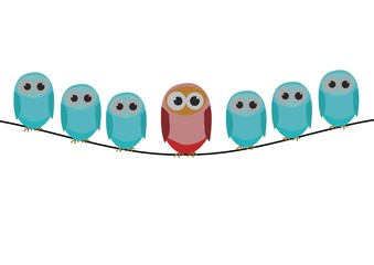Blue bird series, a row of bird with red bird