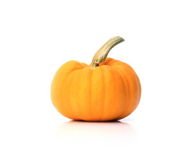 pumpkin isolate on white background