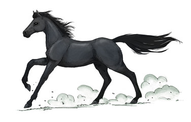 Black Horse Gallop Illustration