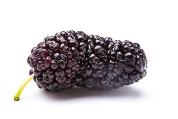 Mulberry berry