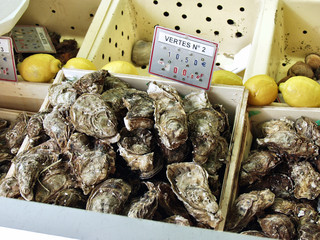 oysters at street market