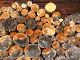ein Stapel Brennholz an der Holzhütte