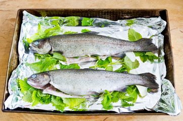 Trouts with melissa