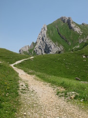 Fototapeta na wymiar Foot-path in the mountains