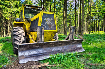 Fototapeta na wymiar Bulldozer w lesie
