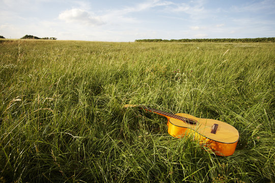 Wooden guitar lying in grassy field