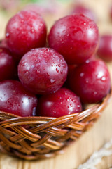 Ñherry plum