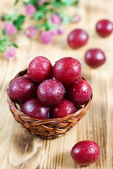 Ripe cherry plum