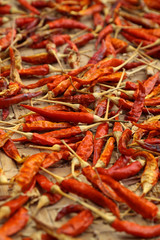 Dry red pepper