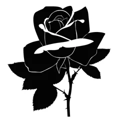 Crédence de cuisine en verre imprimé Fleurs noir et blanc Fleurs de roses c& 39 est isolé un jour férié