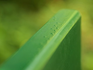 Grün lackierte Parkbank